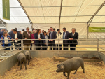 imagen de El presidente de la Diputación de Córdoba inaugura importante Feria Agroganadera en Los Pedroches