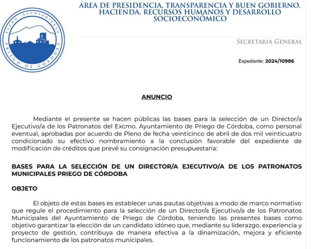 Bases del Procedimiento para la selección de un Director/a Ejecutivo/a de los Patronatos Municipales del Ayuntamiento de Priego de Córdoba