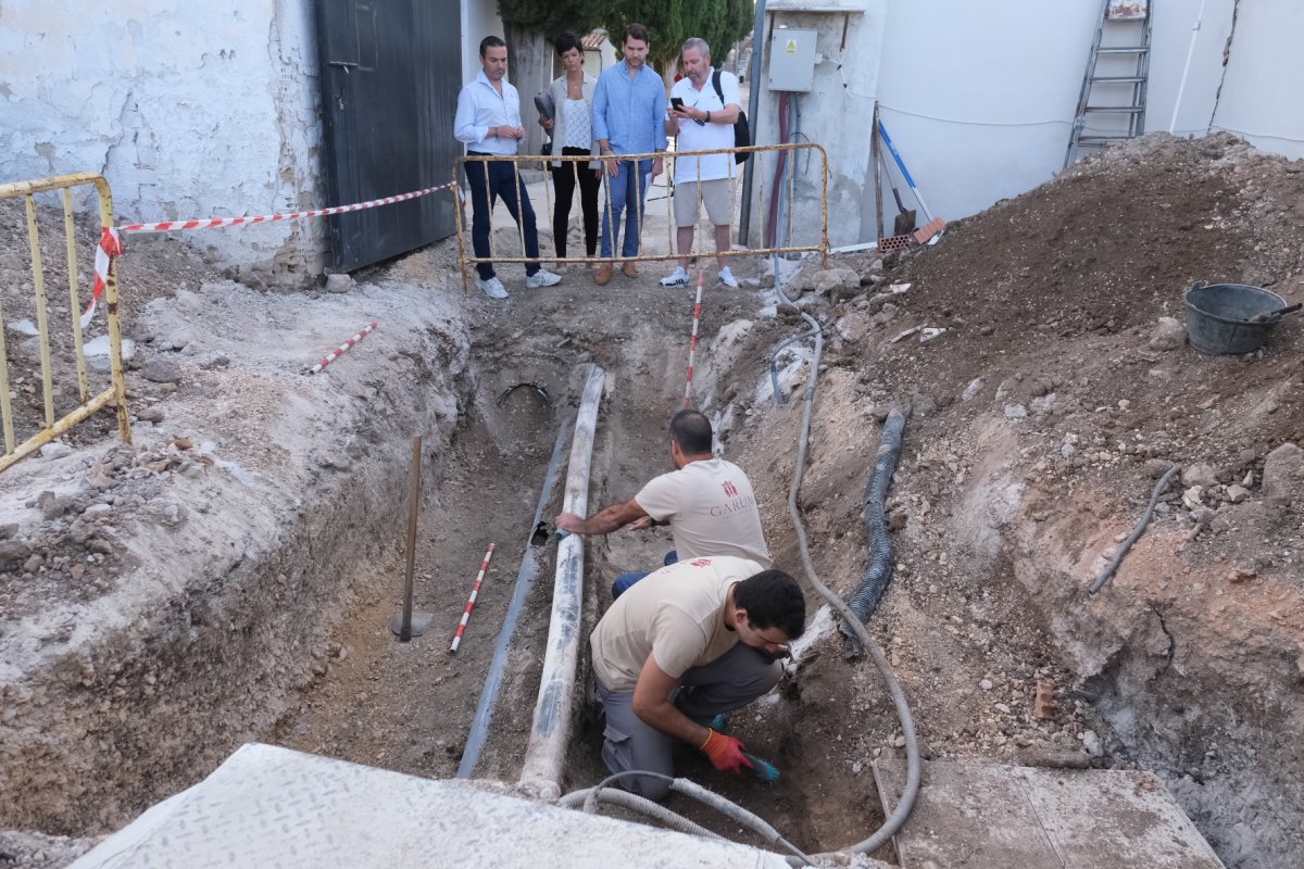 Cabra: 21 muestras óseas y 6 de familiares enviadas para identificación genética (37 en total)