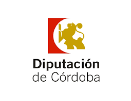 imagen de SUBVENCIÓN RECIBIDAS. PLAN DIPUTACIÓN INVERTE