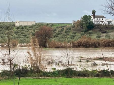 imagen de Cabra en aviso amarillo por la borrasca "Leonardo" con lluvias intensas y rachas de viento