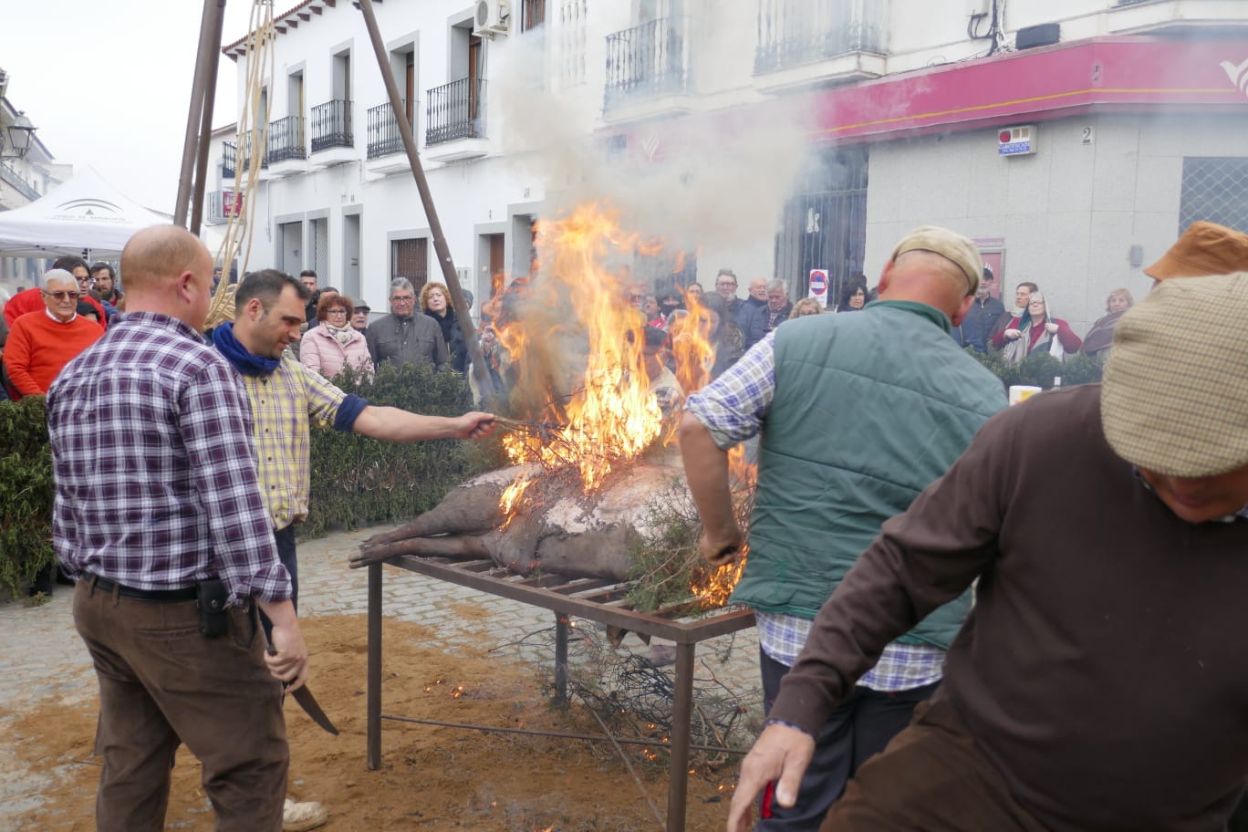 La Fiesta de la Matanza llena las calles de Alcaracejos en una jornada de tradición en torno a la gastronomía