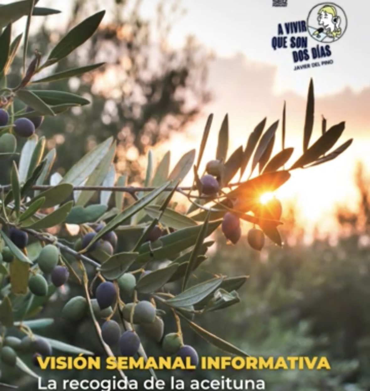 Mujeres rurales de Baena han sido protagonistas del programa de radio de la SER «A vivir que son dos días»