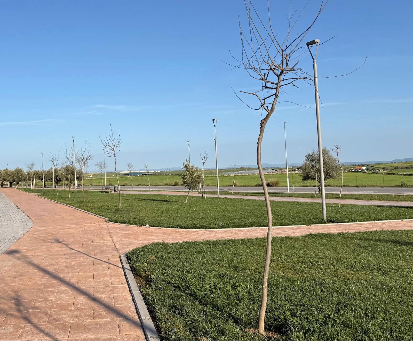 El Ayuntamiento planta 78 árboles, tala 55 y renueva el arbolado para seguridad y calidad ambiental