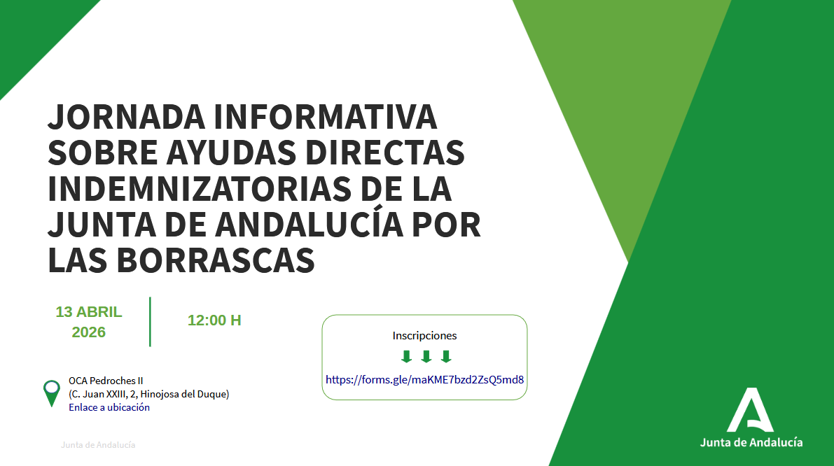 Hinojosa organiza jornada sobre ayudas e indemnizaciones por las borrascas (nov 2025–feb 2026)